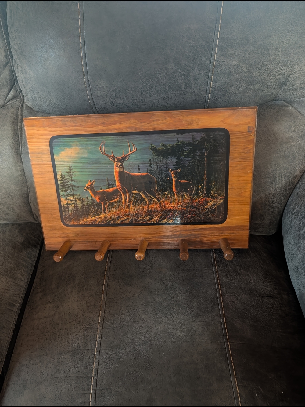 Rustic Deer Scene Wall Hook Rack in Brown